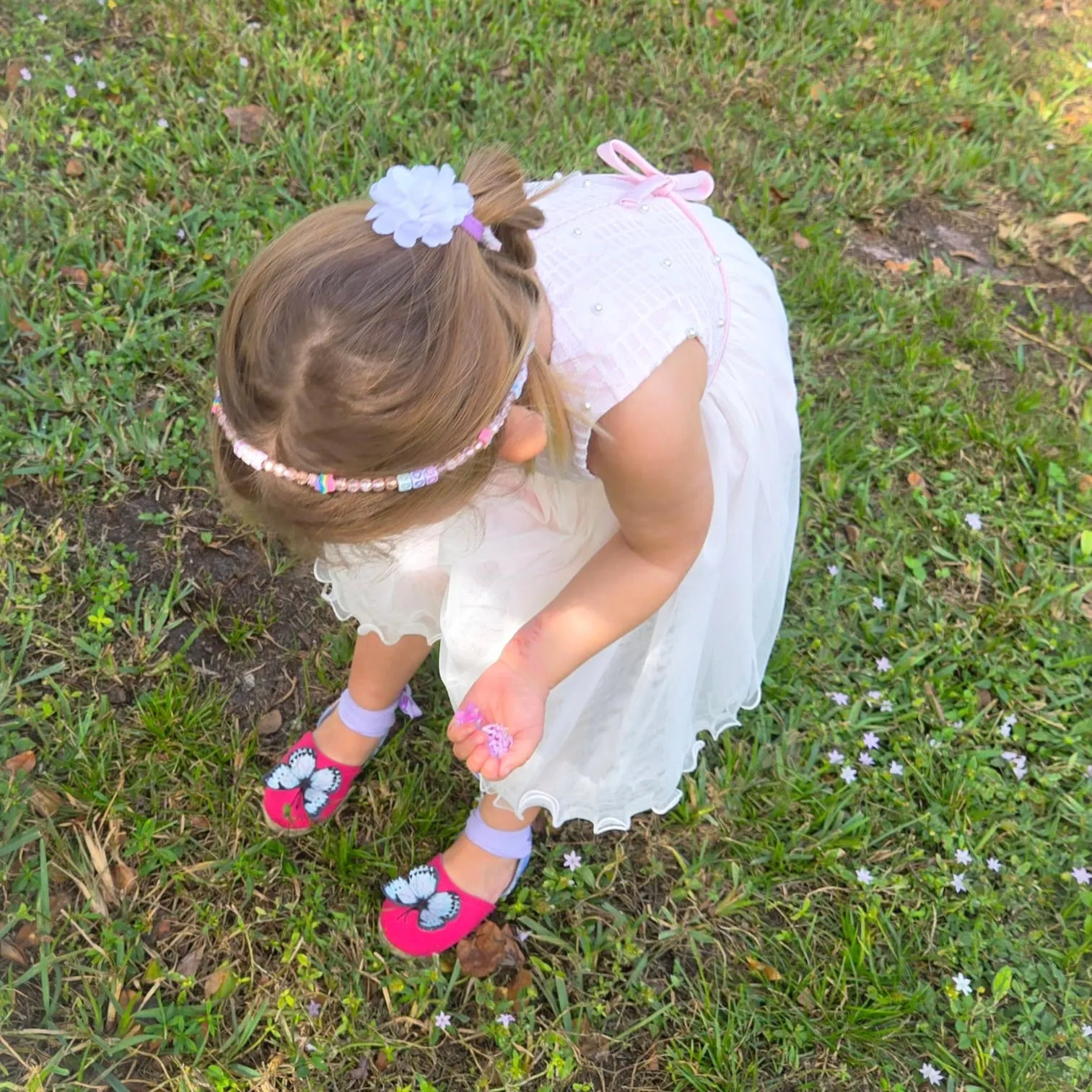 Little Pink Butterflies