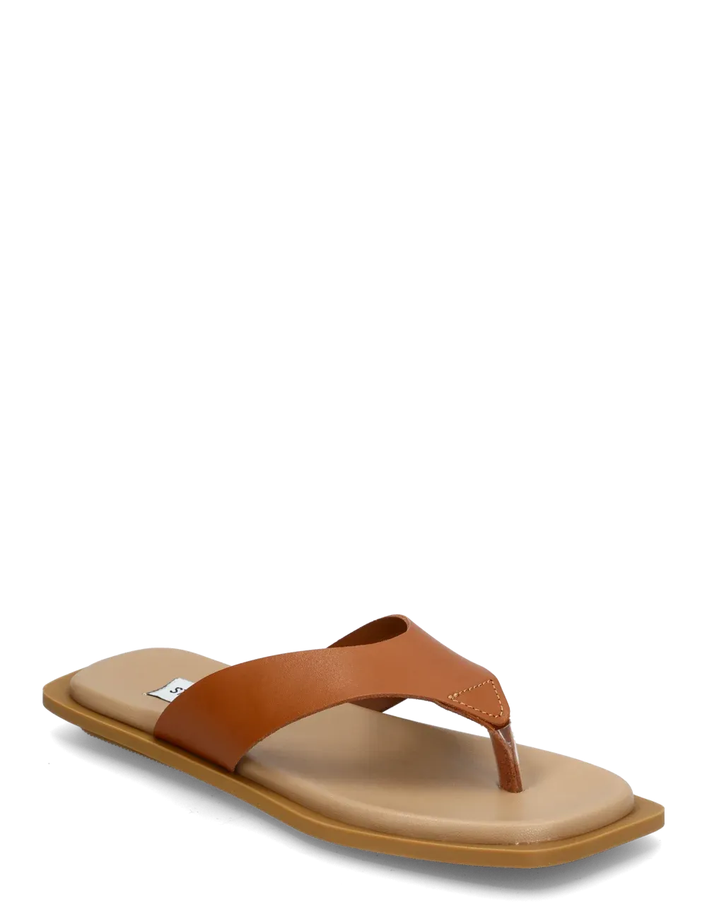 Steve Madden - Sandal - Cognac - Splash