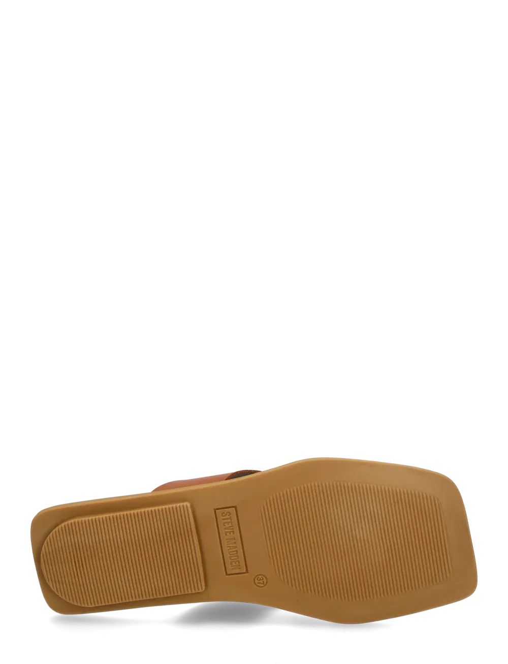 Steve Madden - Sandal - Cognac - Splash